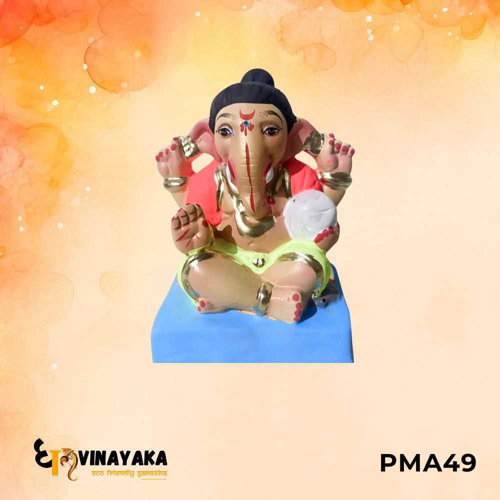 PMA49 - 6 Inch Eco Friendly Ganesha Idol